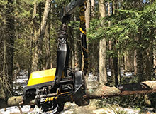 Habitat Management Grand Rapids