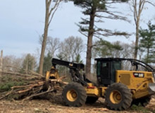 Cat Skidder